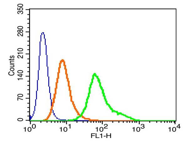 Human Hela cells probed with HOPX Polyclonal Antibody, A488 conjugated (bs-9462R-A488) (green) at 1:100 for 30 minutes compared to unstained cells (blue) and isotype control (orange).