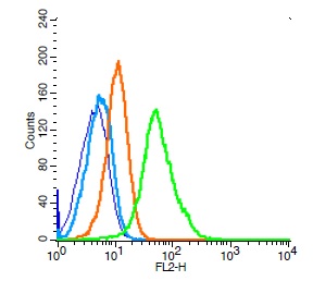 Human Raji cells probed with CD19 Polyclonal Antibody, Unconjugated (bs-0079R) (green) at 1:100 for 30 minutes followed by a PE conjugated secondary antibody compared to unstained cells (blue), secondary only (light blue), and isotype control (orange).