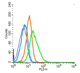 Human Raji cells probed with CD44 Polyclonal Antibody, Unconjugated (bs-0521R) (green) at 1:100 for 30 minutes followed by a PE conjugated secondary antibody compared to unstained cells (blue), secondary only (light blue), and isotype control (orange).