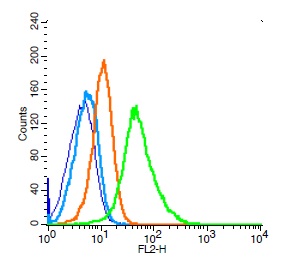 Human Raji cells probed with CD34 Polyclonal Antibody, Unconjugated (bs-0646R) (green) at 1:100 for 30 minutes followed by a PE conjugated secondary antibody compared to unstained cells (blue), secondary only (light blue), and isotype control (orange).
