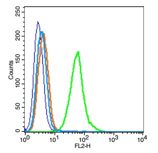 A549 cells probed with TLR6 Polyclonal Antibody, Unconjugated (bs-2716R) at 1:100 for 30 minutes followed by incubation with a conjugated secondary (PE Conjugated) (green) for 30 minutes compared to control cells (blue), secondary only (light blue) and isotype control (orange).