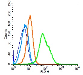 Human Raji cells probed with CD34 Polyclonal Antibody, Unconjugated (bs-8996R) (green) at 1:100 for 30 minutes followed by a PE conjugated secondary antibody compared to unstained cells (blue), secondary only (light blue), and isotype control (orange).