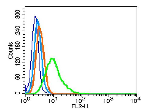 Rat RSC96 cells probed with CREB1 (Ser133) Polyclonal Antibody, Unconjugated (bs-0036R) (green) at 1:100 for 30 minutes followed by a PE conjugated secondary antibody compared to unstained cells (blue), secondary only (light blue), and isotype control (orange).
