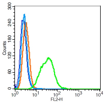 HepG2 cells probed with CD63/MLA1 Polyclonal Antibody, Unconjugated (bs-1523R) at 1:100 for 30 minutes followed by incubation with a conjugated secondary (PE Conjugated) (green) for 30 minutes compared to control cells (blue), secondary only (light blue) and isotype control (orange).