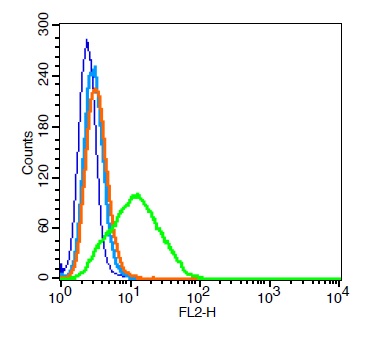 RSC96 cells probed with\tCD9/MRP-1 Polyclonal Antibody, Unconjugated (bs-2489R ) at 0.2ug for 30 minutes followed by incubation with a conjugated secondary (PE Conjugated) (green) for 30 minutes compared to control cells (blue), secondary only (light blue) and isotype control (orange).