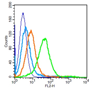 Mouse splenocytes probed with\tCD9/MRP-1 Polyclonal Antibody, Unconjugated (bs-2489R) at 1:100 for 30 minutes followed by incubation with a conjugated secondary (PE Conjugated) (green) for 30 minutes compared to control cells (blue), secondary only (light blue) and isotype control (orange).