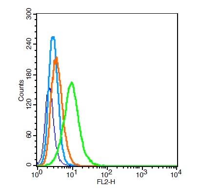 RSC96 cells probed with LOX 1 Polyclonal Antibody, Unconjugated (bs-2044R)  at 1:100 for 30 minutes followed by incubation with a conjugated secondary (PE Conjugated)  (green) for 30 minutes compared to control cells (blue), secondary only (light blue) and isotype control (orange).