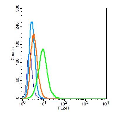 RSC96 cells probed with LOX 1 Polyclonal Antibody, Unconjugated (bs-2044R) at 1:100 for 30 minutes followed by incubation with a conjugated secondary (PE Conjugated) (green) for 30 minutes compared to control cells (blue), secondary only (light blue) and isotype control (orange).