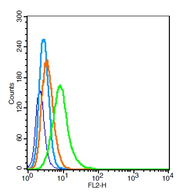 RSC96 cells probed with\tPCDH20 Polyclonal Antibody, Unconjugated (bs-11113R) at 1:100 for 30 minutes followed by incubation with a conjugated secondary (PE Conjugated) (green) for 30 minutes compared to control cells (blue), secondary only (light blue) and isotype control (orange).