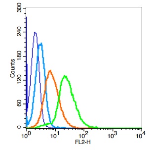 Human jurkat cells probed with MISRII/AMHR2 Polyclonal Antibody, Unconjugated (bs-12414R) (green) at 1:20 for 30 minutes followed by a PE conjugated secondary antibody compared to unstained cells (blue), secondary only (light blue), and isotype control (orange).