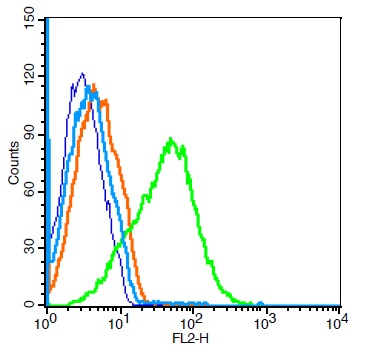 Mouse kidney lysates probed with aplha 2c adrenergic receptor Polyclonal Antibody, Unconjugated (bs-12040R) (green) at 1:100 for 30 minutes followed by a PE conjugated secondary antibody compared to unstained cells (blue), secondary only (light blue), and isotype control (orange). Mouse kidney lysates probed with aplha 2c adrenergic receptor Polyclonal Antibody, Unconjugated (bs-12040R) (green) at 1:100 for 30 minutes followed by a PE conjugated secondary antibody compared to unstained cells (blue), secondary only (light blue), and isotype control (orange).