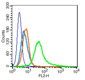 Human HeLa cells probed with MYPT1 (Thr696) Polyclonal Antibody, Unconjugated (bs-3287R) (green) at 1:100 for 30 minutes followed by a PE conjugated secondary antibody compared to unstained cells (blue), secondary only (light blue), and isotype control (orange).