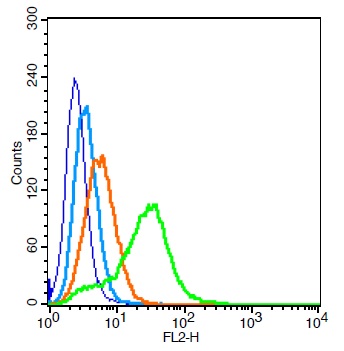 Human 293T cells probed with AQP1 Polyclonal Antibody, Unconjugated (bs-1506R) (green) at 1:100 for 30 minutes followed by a PE conjugated secondary antibody compared to unstained cells (blue), secondary only (light blue), and isotype control (orange).\n