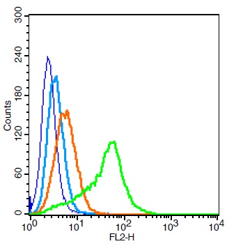 Human 293T cells probed with EGFR5 Polyclonal Antibody, Unconjugated (bs-9813R) (green) at 1:100 for 30 minutes followed by a PE conjugated secondary antibody compared to unstained cells (blue), secondary only (light blue), and isotype control (orange).\n