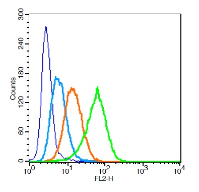 Human U937 probed with CD13/APN/ANPEN Polyclonal Antibody (bs-1383R) at 1:100 for 30 minutes followed by incubation with a PE conjugated secondary (green) for 30 minutes compared to control cells (blue), secondary only (light blue) and isotype control (orange).