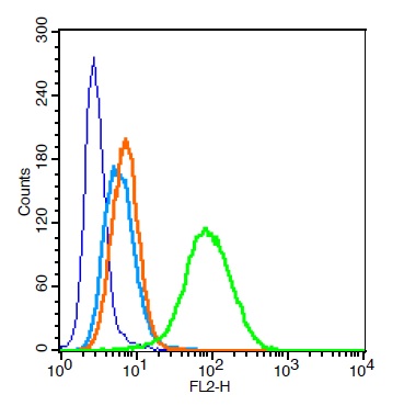 Human U937 cells probed with CD33 Polyclonal Antibody, Unconjugated (bs-2042R) at 0.2ug for 30 minutes followed by incubation with a PE Conjugated secondary (green) for 30 minutes compared to control cells (blue), secondary only (light blue) and isotype control (orange).