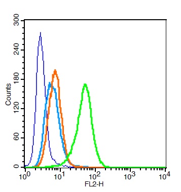 Human U937 cells probed with CD32 Polyclonal Antibody, Unconjugated (bs-2573R) at 0.2ug for 30 minutes followed by incubation with a PE Conjugated secondary (green) for 30 minutes compared to control cells (blue), secondary only (light blue) and isotype control (orange).