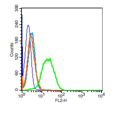 Human Jurkat cells probed with TRAF3 Polyclonal Antibody, Unconjugated (bs-1185R)  at 0.2ug for 30 minutes followed by incubation with a PE Conjugated secondary for 30 minutes compared to control cells (blue), secondary only (light blue) and isotype control (orange).
