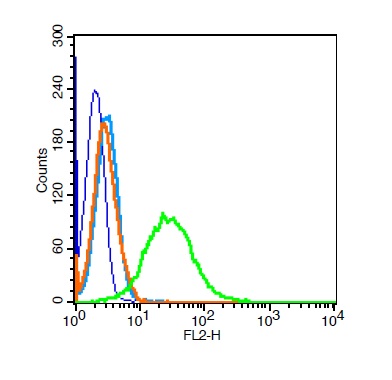 Human Jurkat cells probed with Vimentin Polyclonal Antibody, Unconjugated (bs-0756R) at 0.2ug for 30 minutes followed by incubation with a PE Conjugated secondary (green) for 30 minutes compared to control cells (blue), secondary only (light blue) and isotype control (orange).