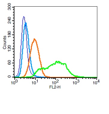 Human U937 cells probed with CD38 Polyclonal Antibody, Unconjugated (bs-0980R) at 1:100 for 30 minutes followed by incubation with a PE Conjugated secondary (green) for 30 minutes compared to control cells (blue), secondary only (light blue) and isotype control (orange).