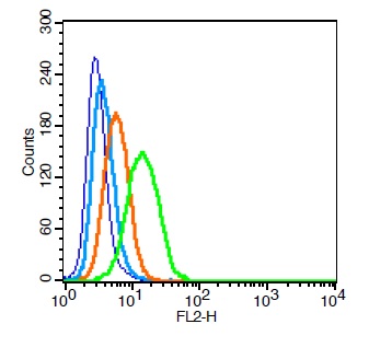Human U937 probed with \\tIntegrin Alpha V + Beta 3 Antibody, Unconjugated (bs-1310R )  at 0.2ug for 30 minutes followed by incubation with a PE Conjugated secondary (green) for 30 minutes compared to control cells (blue), secondary only (light blue) and isotype control (orange).