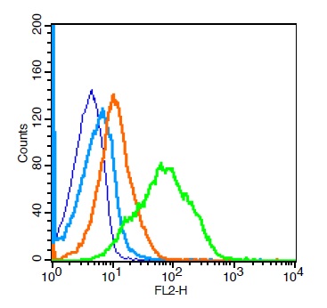 Mouse spleen cells probed with \tCD1d1 Polyclonal Antibody, Unconjugated (bs-3690R) at 1:100 for 30 minutes followed by incubation with a PE Conjugated secondary (green) for 30 minutes compared to control cells (blue), secondary only (light blue) and isotype control (orange).
