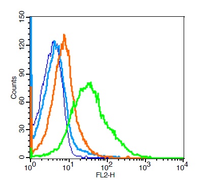 Mouse splenocytes probed with CD33 Polyclonal Antibody, Unconjugated (bs-1514R) at 1:100 for 30 minutes followed by incubation with a PE Conjugated secondary (green) for 30 minutes compared to control cells (blue), secondary only (light blue) and isotype control (orange).