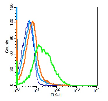 Mouse splenocytes probed with CD38 Polyclonal Antibody, Unconjugated (bs-0979R) at 0.2ug for 30 minutes followed by incubation with a PE Conjugated secondary (green) for 30 minutes compared to control cells (blue), secondary only (light blue) and isotype control (orange).