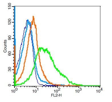 Mouse splenocytes probed with CD62L Polyclonal Antibody, Unconjugated (bs-1036R) at 1:100 for 30 minutes followed by incubation with a PE conjugated secondary (green) for 30 minutes compared to control cells (blue), secondary only (light blue) and isotype control (orange).
