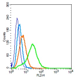 Human 293T cells probed with PAFR Polyclonal Antibody, Unconjugated (bs-1478R) (green) at 1:100 for 30 minutes followed by a PE conjugated secondary antibody compared to unstained cells (blue), secondary only (light blue), and isotype control (orange).