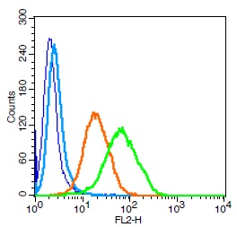 Human U937 cells probed with CD171 Polyclonal Antibody, Unconjugated (bs-1996R) (green) at 1:100 for 30 minutes followed by a PE conjugated secondary antibody compared to unstained cells (blue), secondary only (light blue), and isotype control (orange).