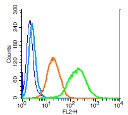 Human U937 cells probed with LIFR/CD118 Polyclonal Antibody, Unconjugated (bs-1458R) (green) at 1:100 for 30 minutes followed by a PE conjugated secondary antibody compared to unstained cells (blue), secondary only (light blue), and isotype control (orange).