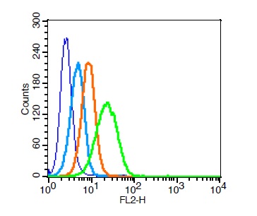 U937 cells probed with \\tADAM17 Polyclonal Antibody, Unconjugated (bs-4236R)  at 1:100 for 30 minutes followed by incubation with a PE conjugated secondary (green) for 30 minutes compared to control cells (blue), secondary only (light blue) and isotype control (orange).