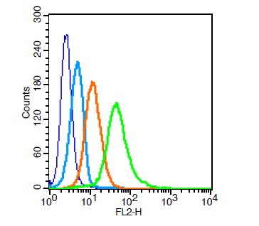 Human U937 cells probed with BST1 Polyclonal Antibody, Unconjugated (bs-6023R) at 1:20 for 30 minutes followed by incubation with a PE Conjugated secondary for 30 minutes compared to control cells (blue), secondary only (light blue) and isotype control (orange).