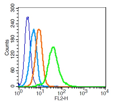 U937 cells probed with \tTRAF2 Polyclonal Antibody (bs-1213R) at 1:100 for 30 minutes followed by incubation with a PE conjugated secondary (green) for 30 minutes compared to control cells (blue), secondary only (light blue) and isotype control (orange).
