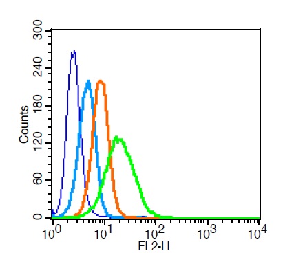 Human U937 probed with \tSIRP Alpha Polyclonal Antibody (bs-2708R) at 1:100 for 30 minutes followed by incubation with a PE Conjugated secondary (green) for 30 minutes compared to control cells (blue), secondary only (light blue) and isotype control (orange).