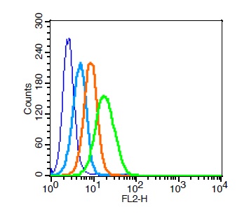 Human U937 cells probed withCXCR4 Polyclonal Antibody, Unconjugated (bs-1011R) at 1:100 for 30 minutes followed by incubation with a PE conjugated secondary (green) for 30 minutes compared to control cells (blue), secondary only (light blue) and isotype control (orange). Human U937 cells probed withCXCR4 Polyclonal Antibody, Unconjugated (bs-1011R) at 1:100 for 30 minutes followed by incubation with a PE conjugated secondary (green) for 30 minutes compared to control cells (blue), secondary only (light blue) and isotype control (orange).