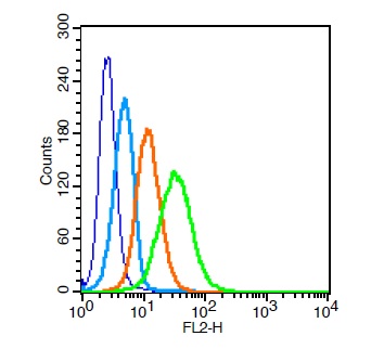 Human U937 cells probed with CD31 Polyclonal Antibody, Unconjugated (bs-0195R) at 1:20 for 30 minutes followed by incubation with a PE conjugated secondary (green) for 30 minutes compared to control cells (blue), secondary only (light blue) and isotype control (orange).