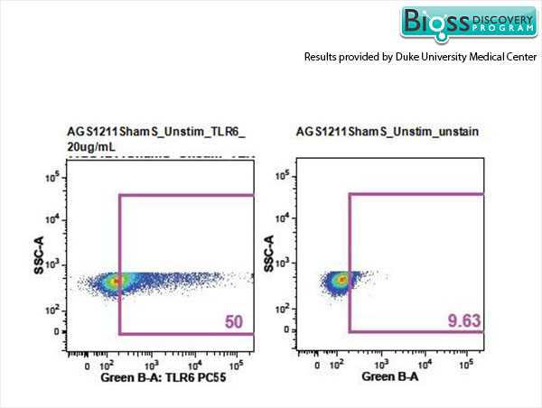 Rat splenocytes stained with Anti- TLR6/CD286 Polyclonal Antibody, PE-CY5.5 Conjugated (bs-2716R-PE-Cy5.5) at 1:25.