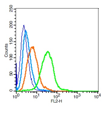 Raji cells probed with \tBCMA/CD269 Polyclonal Antibody, Unconjugated (bs-3850R) at 1:50 for 30 minutes followed by incubation with a conjugated secondary (PE Conjugated) (green) for 30 minutes compared to control cells (blue), secondary only (light blue) and isotype control (orange).
