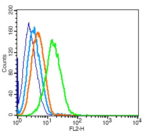 Raji probed with CCR7\/CD197 Polyclonal Antibody, Unconjugated (bs-1305R)  at 1:100 for 30 minutes followed by incubation with a conjugated secondary (PE Conjugated)  (green) for 30 minutes compared to control cells (blue), secondary only (light blue) and isotype control (orange).