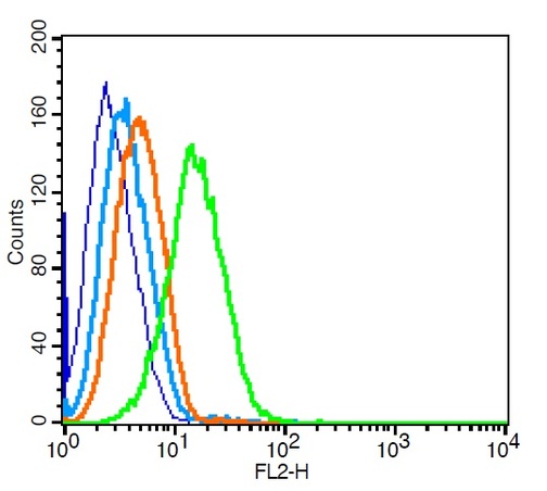 Raji probed with CCR7/CD197 Polyclonal Antibody, Unconjugated (bs-1305R) at 1:100 for 30 minutes followed by incubation with a conjugated secondary (PE Conjugated) (green) for 30 minutes compared to control cells (blue), secondary only (light blue) and isotype control (orange).