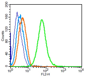 Raji cells probed with \tTransferrin receptor Polyclonal Antibody, Unconjugated (bs-0988R) at 1:100 for 30 minutes followed by incubation with a conjugated secondary (PE Conjugated) (green) for 30 minutes compared to control cells (blue), secondary only (light blue) and isotype control (orange).