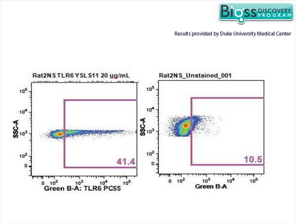 Rat splenocytes stained with Anti- TLR6/CD286 Polyclonal Antibody, PE-CY5.5 Conjugated (bs-2716R-PE-Cy5.5) at 1:25