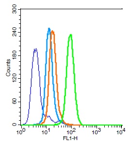 Human HL-60 cells probed with Bax Polyclonal Antibody, Unconjugated (bs-0127R) (green) at 1:30 for 30 minutes followed by a FITC conjugated secondary antibody compared to unstained cells (blue), secondary only (light blue), and isotype control (orange).