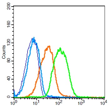 Mouse Blood Cells probed with ADAM28 Polyclonal Antibody, Unconjugated (bs-5854R) (green) at 1:30 for 30 minutes followed by a FITC conjugated secondary antibody compared to unstained cells (blue), secondary only (light blue), and isotype control (orange).
