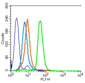 CD15/Fut4/SSEA-1 Polyclonal Antibody – Bioss