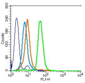 Human HL-60 cells probed with CD15 Polyclonal Antibody, Unconjugated (bs-1702R) (green) at 1:100 for 30 minutes followed by a FITC conjugated secondary antibody compared to unstained cells (blue), secondary only (light blue), and isotype control (orange).