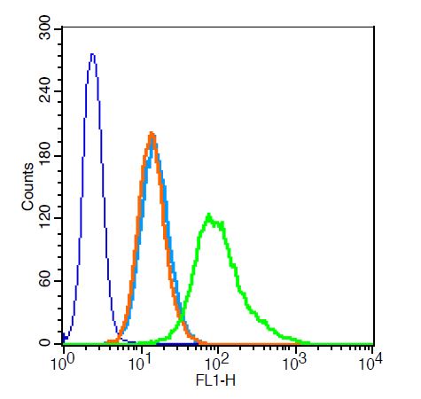 RSC96 probed with alpha Tubulin (4G1) Monoclonal Antibody, Unconjugated (bsm-50179M) at 1:100 for 30 minutes followed by incubation with a FITC conjugated secondary (green) for 30 minutes compared to control cells (blue), secondary only (light blue) and isotype control (orange).
