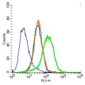 Human Jurkat cells probed with CD31 Polyclonal Antibody, Unconjugated (bs-0468R) (green) at 1:100 for 30 minutes followed by a FITC conjugated secondary antibody compared to unstained cells (blue), secondary only (light blue), and isotype control (orange).